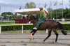 Immagine <b>REG_9224</b>